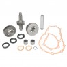 Kit pignons réduction BT 4.90 pour SAMURAI